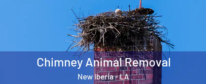 Chimney Animal Removal New Iberia - LA
