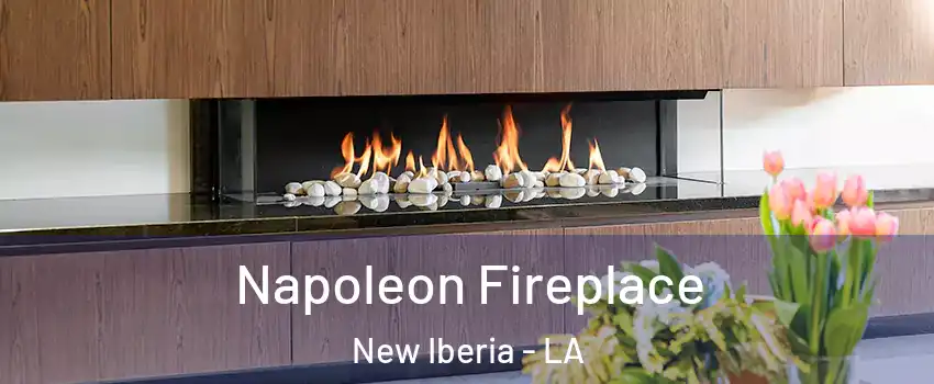  Napoleon Fireplace New Iberia - LA